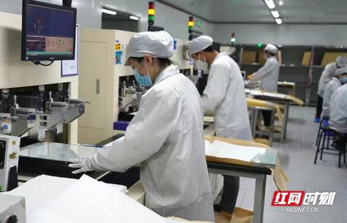 電子工匠展風采，勞務(wù)品牌促發(fā)展——冷水灘區(qū)以專業(yè)勞務(wù)品牌助力就業(yè)與產(chǎn)業(yè)雙贏
